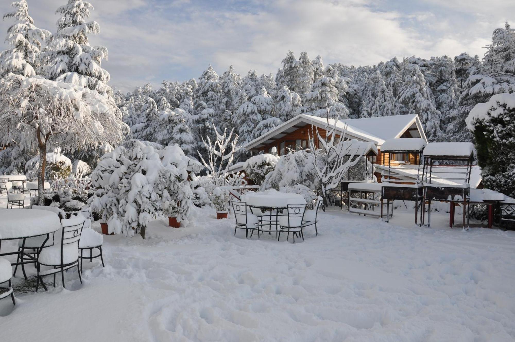 Chalets Naldehra Shimla Buitenkant foto